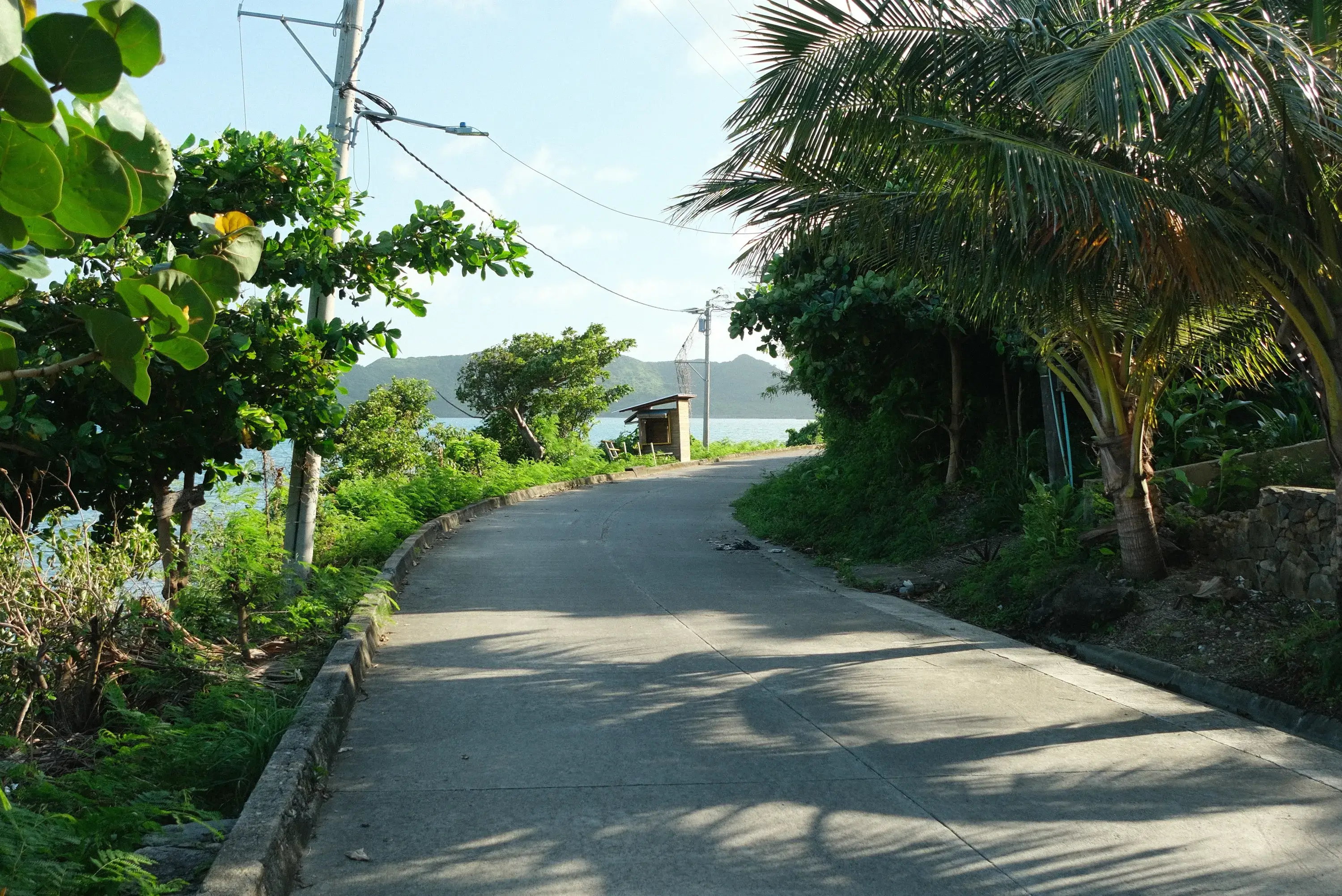Island Loop Drive
